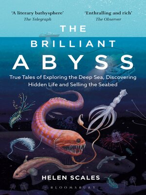 cover image of The Brilliant Abyss